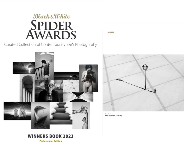 Winner’s Book “Spider Awards 2023” Professional
