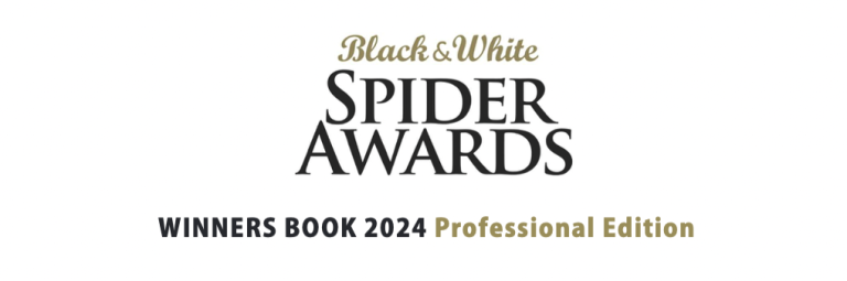 Publication Winner’s Book Spider Awards 2024